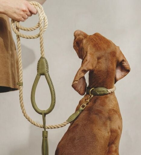 TAŞIMA ÇANTALARI VE ARABALAR